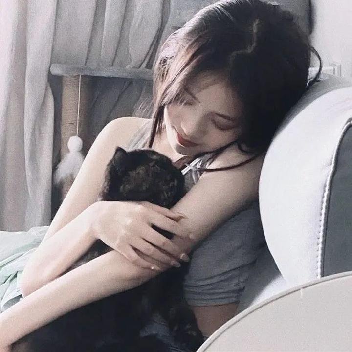 津门飞鹰