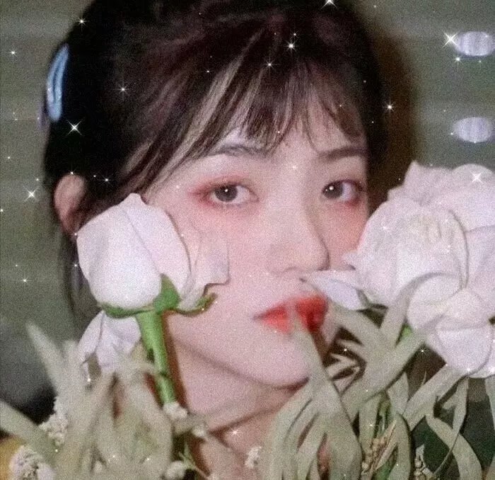 父亲是棵树